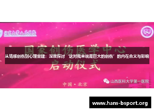 从情感创伤到心理重建：深度探讨‘这对我来说是巨大的创伤’的内在含义与影响